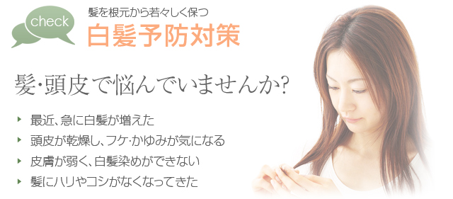 さっと塗るだけ ファンデーションタイプの部分白髪染め Yui 旅と 暮らしと